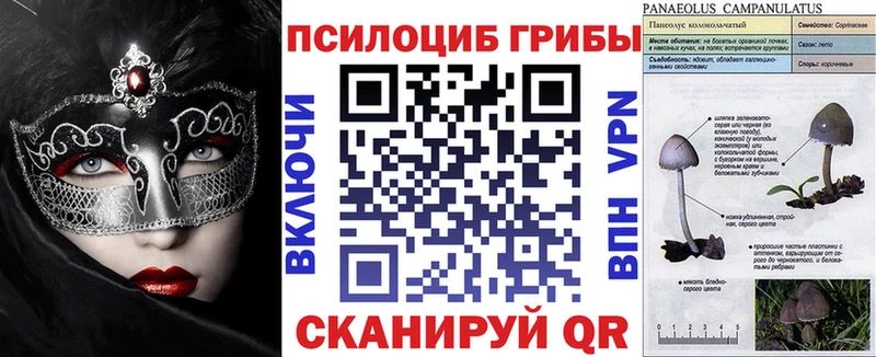 Псилоцибиновые грибы Psilocybine cubensis Кизел